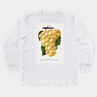 Pocklington Grape lithograph (1900) Kids Long Sleeve T-Shirt